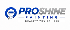 Pro-Shine Painting New Logo with blue, white and silver with a light grey look